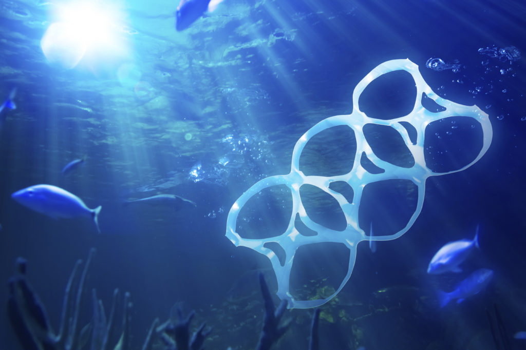 Conservation Plastic Pollution