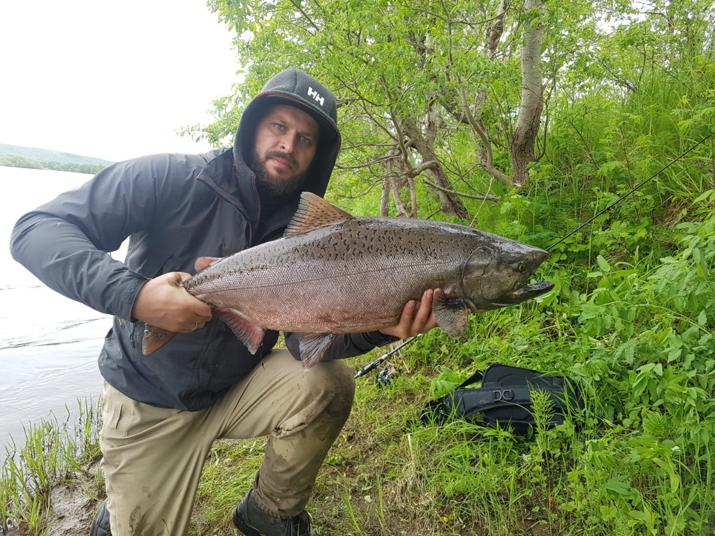 Big Salmon Fishing Kamchatka Russia