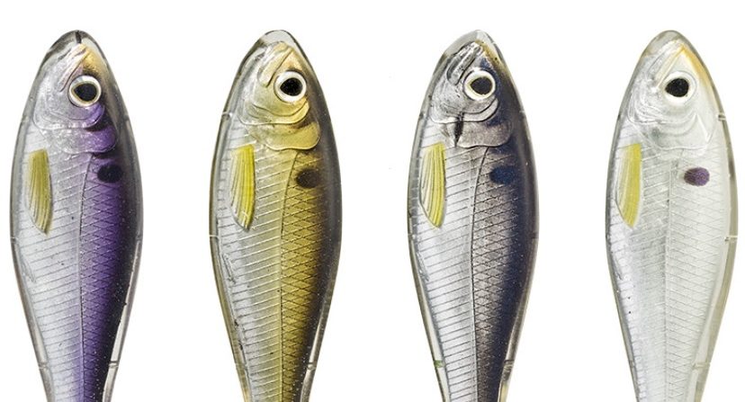 New: LIVETARGET Skip Shad with Injected Core Technology