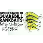 Beginner's Guide to Squarebill Crankbaits