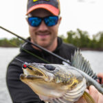 Walleye-Catching Jigs Metallic olive and short shank tungsten walleye-catching jigs designed to catch walleye and well trusted by numerous anglers payneoutdoors