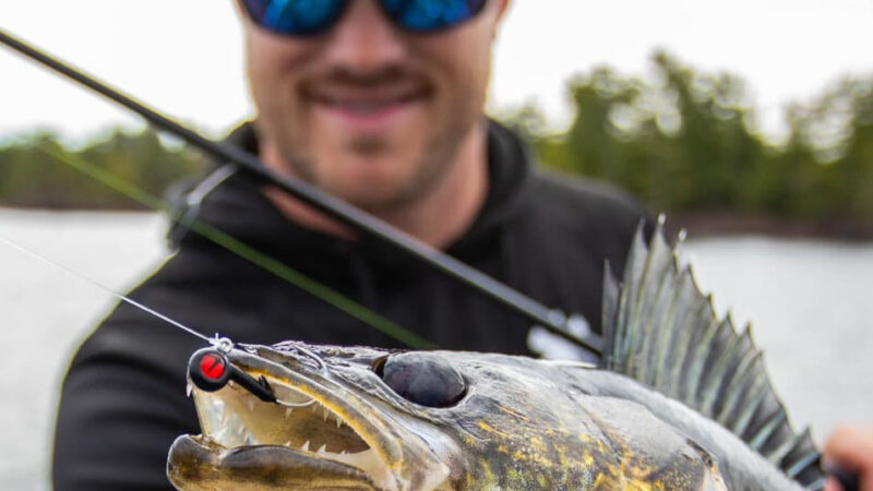 Northland Fishing Tackle’s New Walleye-Catching Jigs